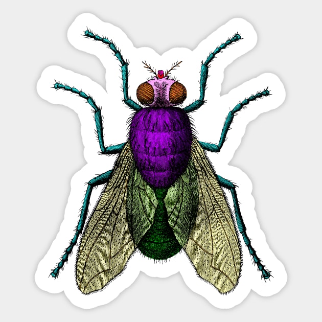 The Fly Sticker by Wright Art